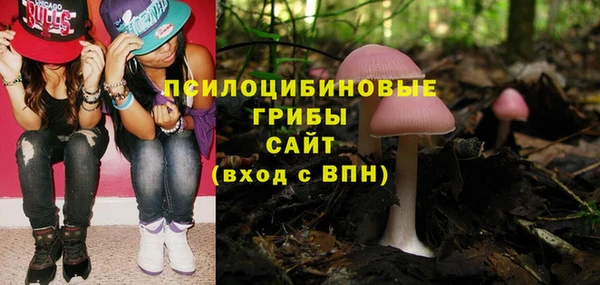 MDMA Premium VHQ Снежинск