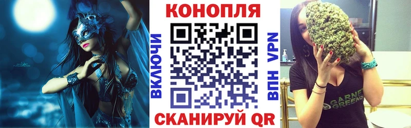 купить Аша Конопля OG Kush